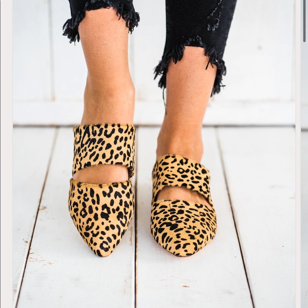 Matisse cheetah mules